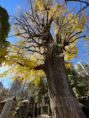 芝東照宮(東京都)