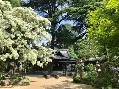 大宝八幡宮(茨城県)