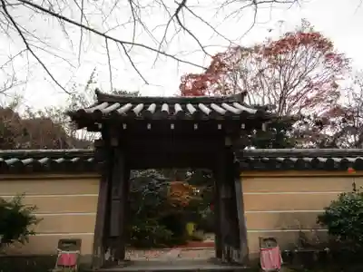 浄瑠璃寺(京都府)