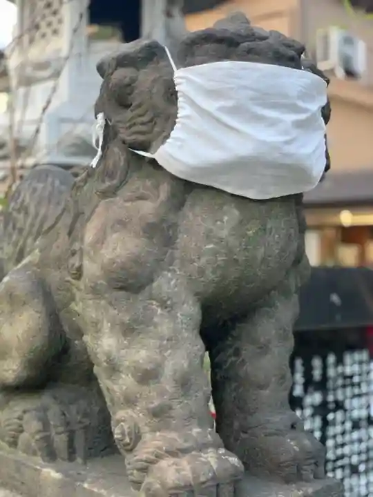 矢向日枝神社の狛犬