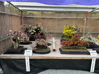 橿原神宮(奈良県)