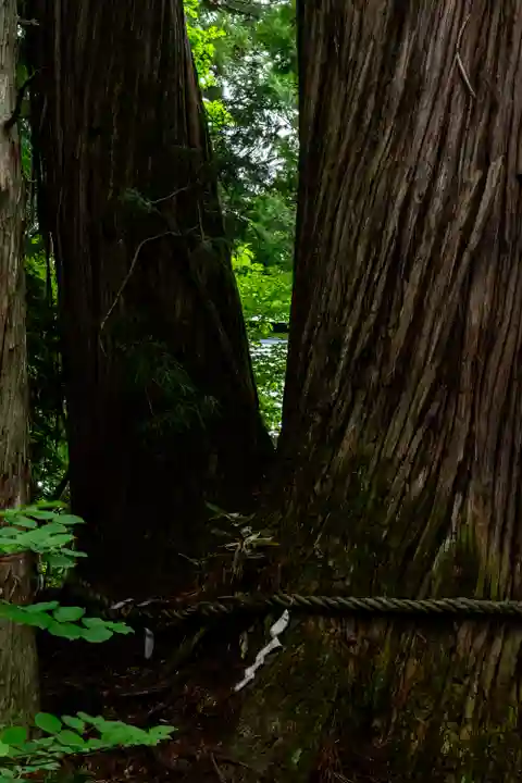 戸隠神社火之御子社(長野県)