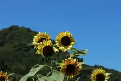 高司神社〜むすびの神の鎮まる社〜の周辺