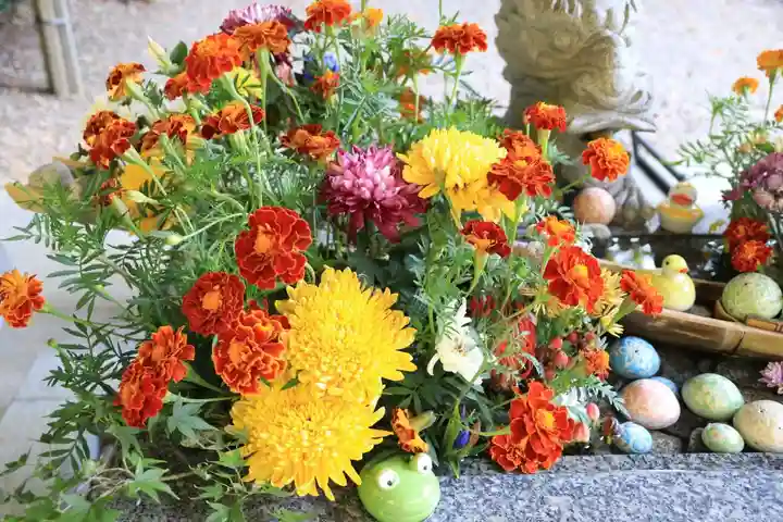 滑川神社 - 仕事と子どもの守り神の手水舎