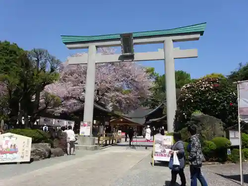 出雲大社相模分祠の鳥居