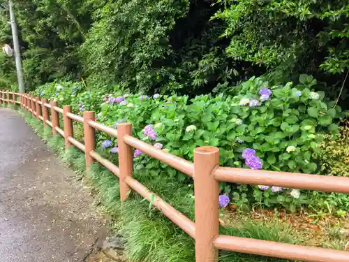 櫻木神社の自然