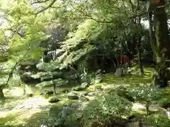 大覚寺(京都府)