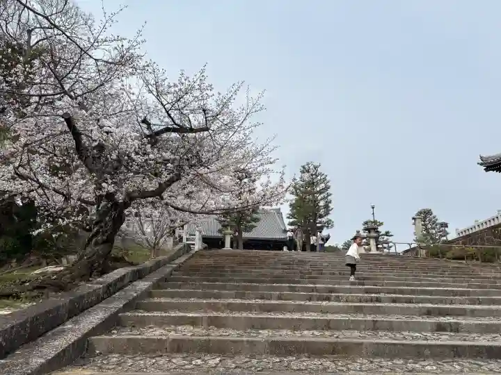 くろ谷 金戒光明寺の{uncategorized: "未分類", other: "その他", undefined: "問題あり", building: "その他建物", grave: "お墓", sacred_gate: "鳥居", guardian: "狛犬", statue: "像", buddha: "仏像", history: "歴史", nature: "自然", garden: "庭園", animal: "動物", pagoda: "塔", temizu: "手水舎", mountain_gate: "山門・神門", sanctuary: "本殿・本堂", subordinate: "末社・摂社", art: "芸術", scenery: "景色", jizo: "地蔵", ema: "絵馬", goshuin: "御朱印", omikuji: "おみくじ", items: "授与品その他", amulet: "お守り", goshuincho: "御朱印帳", eats: "食事", festival: "お祭り", votive_dance: "神楽", shichigosan: "七五三参", wedding: "結婚式", experience: "体験その他", initially: "初詣", around: "周辺", anti_infection: "感染症対策"}