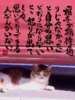 専念寺(大阪府)