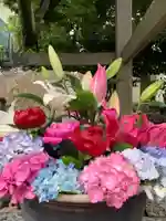 彌都加伎神社の手水舎