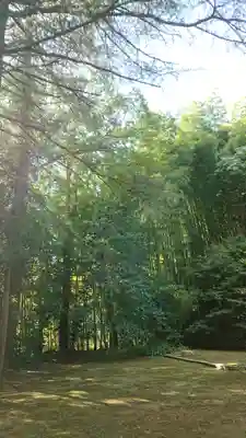 大隅神社(岡山県)