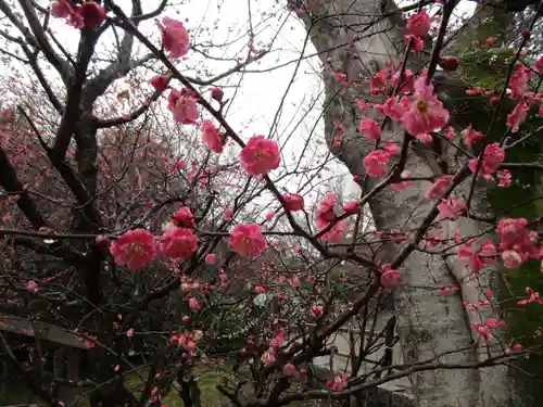 北野天満宮(京都府)