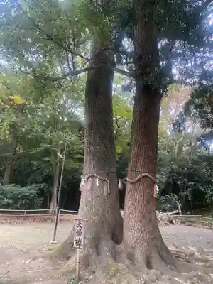 男神社(大阪府)