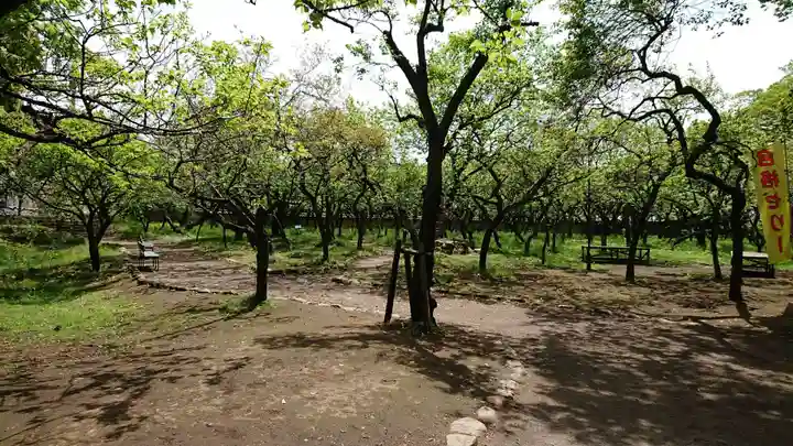 谷保天満宮の庭園