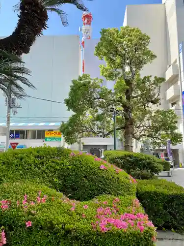城岡神社(静岡県)