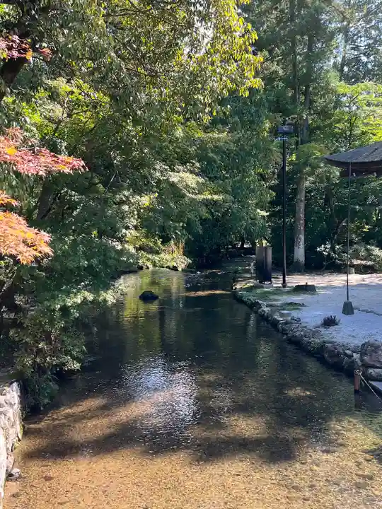 賀茂別雷神社(上賀茂神社)(京都府)