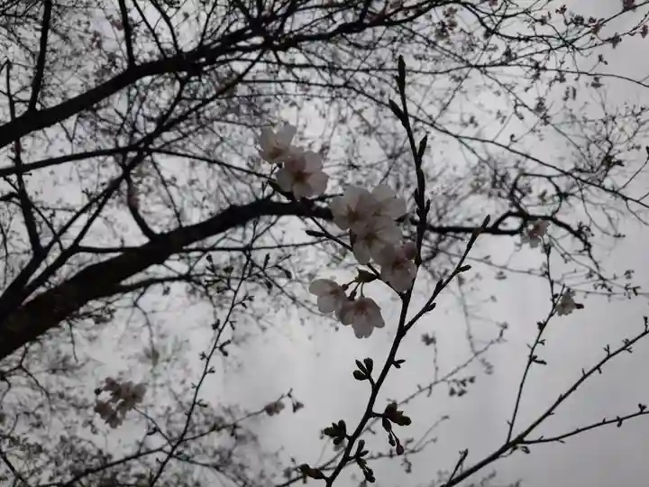 青岸渡寺(和歌山県)