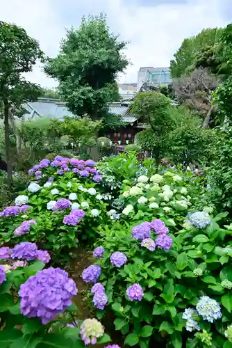 白山神社(東京都)