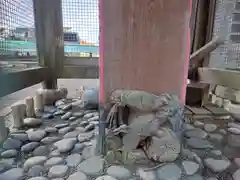 白山姫神社(神奈川県)