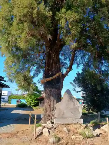 香取神社(茨城県)