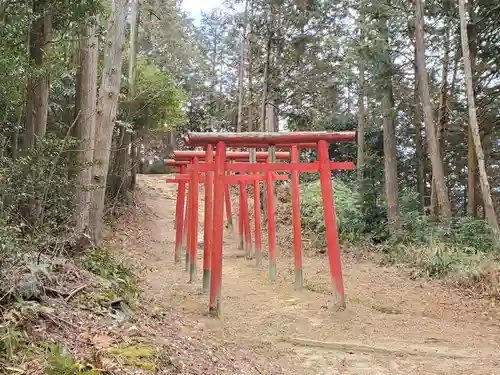 清綱稲荷大明神の鳥居