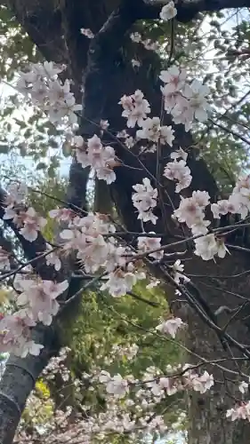 熱田神宮の{uncategorized: "未分類", other: "その他", undefined: "問題あり", building: "その他建物", grave: "お墓", sacred_gate: "鳥居", guardian: "狛犬", statue: "像", buddha: "仏像", history: "歴史", nature: "自然", garden: "庭園", animal: "動物", pagoda: "塔", temizu: "手水舎", mountain_gate: "山門・神門", sanctuary: "本殿・本堂", subordinate: "末社・摂社", art: "芸術", scenery: "景色", jizo: "地蔵", ema: "絵馬", goshuin: "御朱印", omikuji: "おみくじ", items: "授与品その他", amulet: "お守り", goshuincho: "御朱印帳", eats: "食事", festival: "お祭り", votive_dance: "神楽", shichigosan: "七五三参", wedding: "結婚式", experience: "体験その他", initially: "初詣", around: "周辺", anti_infection: "感染症対策"}