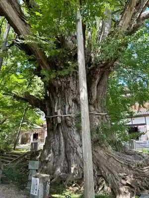 上日寺(富山県)