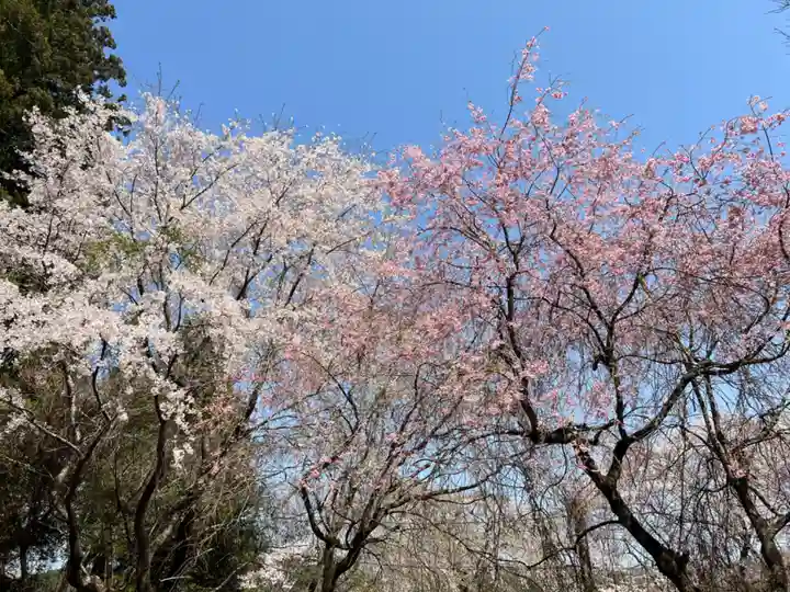 大宮温泉神社(栃木県)
