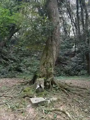 大水上神社(香川県)