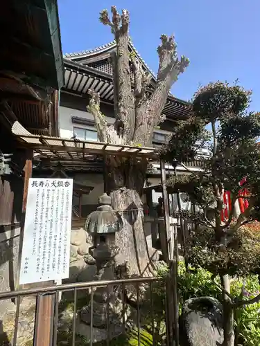 松山神社(愛知県)