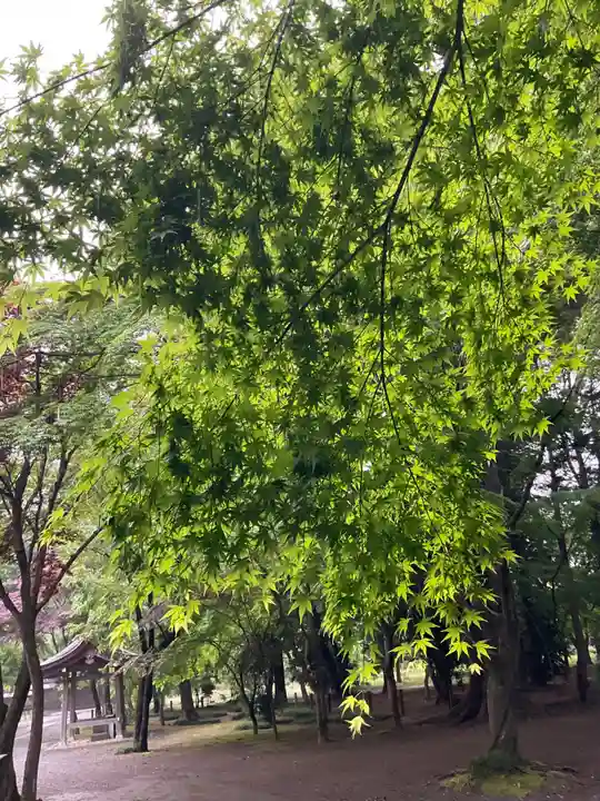 平林寺(埼玉県)