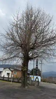 玉振神社(徳島県)