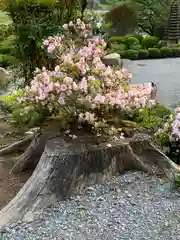 常楽寺の自然