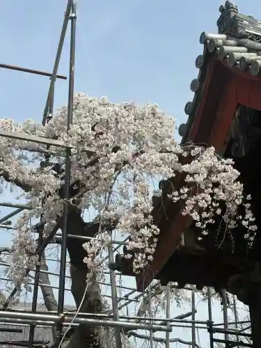 宿縁寺の{uncategorized: "未分類", other: "その他", undefined: "問題あり", building: "その他建物", grave: "お墓", sacred_gate: "鳥居", guardian: "狛犬", statue: "像", buddha: "仏像", history: "歴史", nature: "自然", garden: "庭園", animal: "動物", pagoda: "塔", temizu: "手水舎", mountain_gate: "山門・神門", sanctuary: "本殿・本堂", subordinate: "末社・摂社", art: "芸術", scenery: "景色", jizo: "地蔵", ema: "絵馬", goshuin: "御朱印", omikuji: "おみくじ", items: "授与品その他", amulet: "お守り", goshuincho: "御朱印帳", eats: "食事", festival: "お祭り", votive_dance: "神楽", shichigosan: "七五三参", wedding: "結婚式", experience: "体験その他", initially: "初詣", around: "周辺", anti_infection: "感染症対策"}