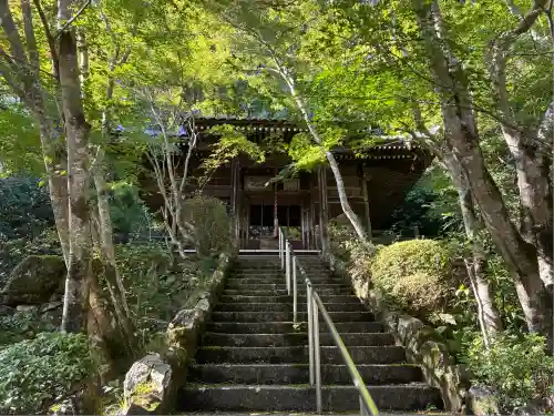 勝持寺（花の寺）(京都府)