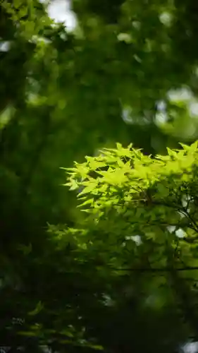 常寂光寺(京都府)