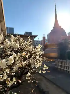 福王山  慈眼寺(東京都)