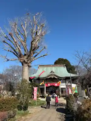 大洞院(千葉県)