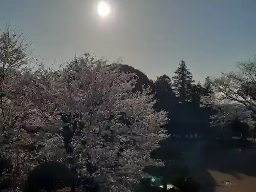 伏木香取神社の自然