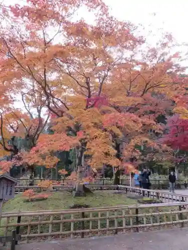 長谷寺の自然