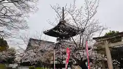 本法寺(京都府)