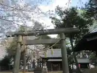 仙波氷川神社(埼玉県)