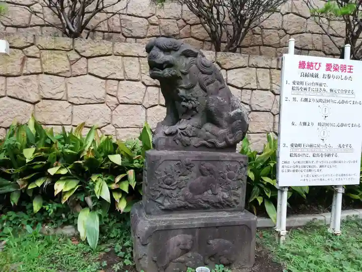 瀧泉寺(目黒不動尊)の狛犬