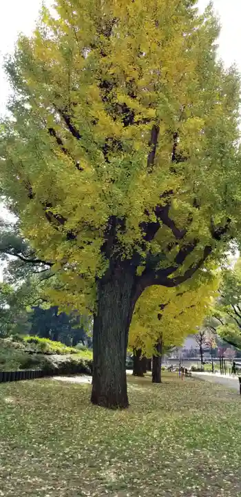 伏見三寳稲荷神社の自然