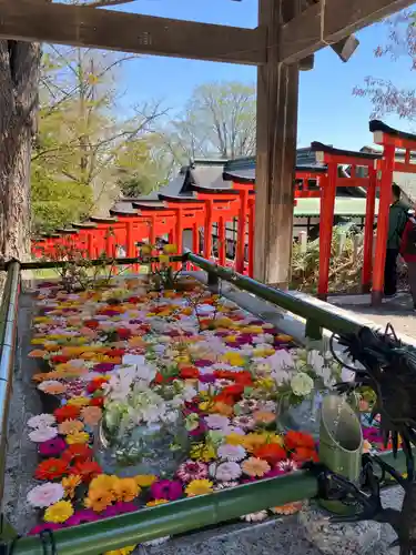 住吉神社の手水