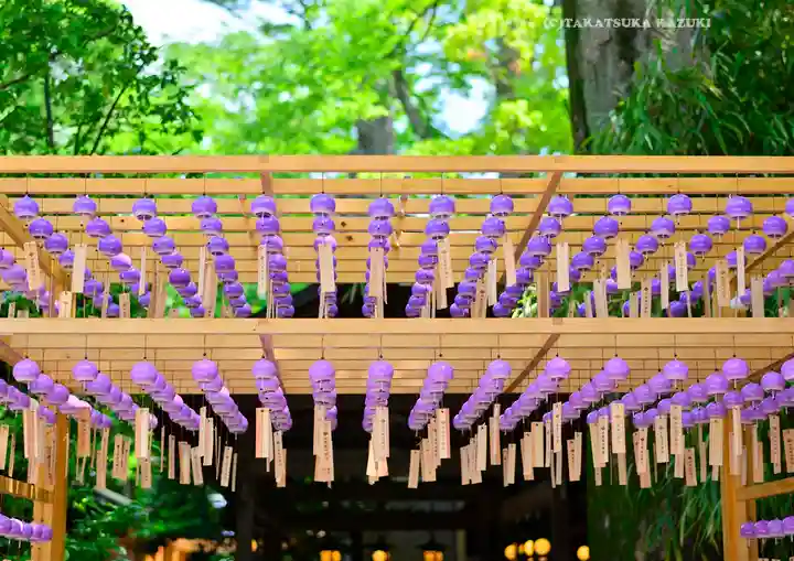 川越氷川神社(埼玉県)