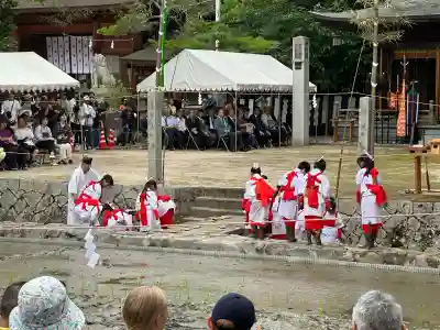 大山祇神社のお祭り