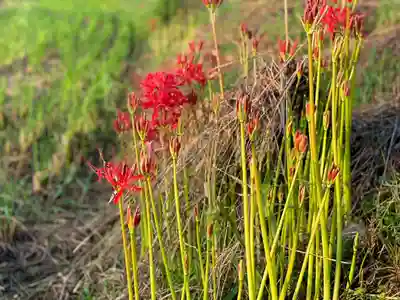 伊勢の国 四天王寺(三重県)