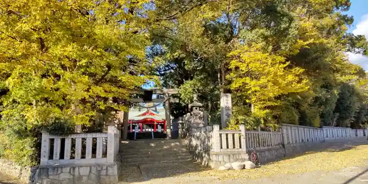 亀之森住吉神社(大阪府)
