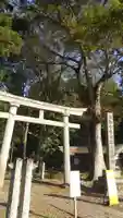 都々古別神社(八槻)(福島県)